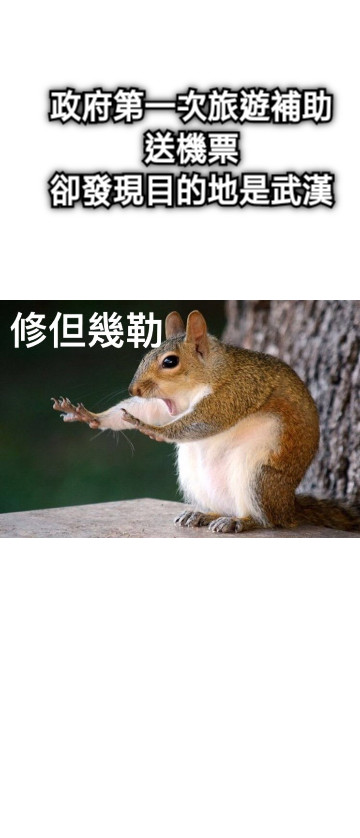 政府第一次旅遊補助送機票 卻發現目的地是武漢