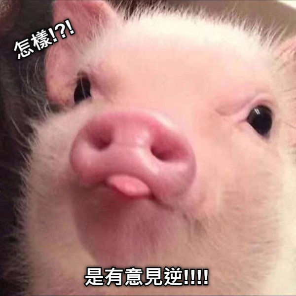 怎樣!?! 是有意見逆!!!!