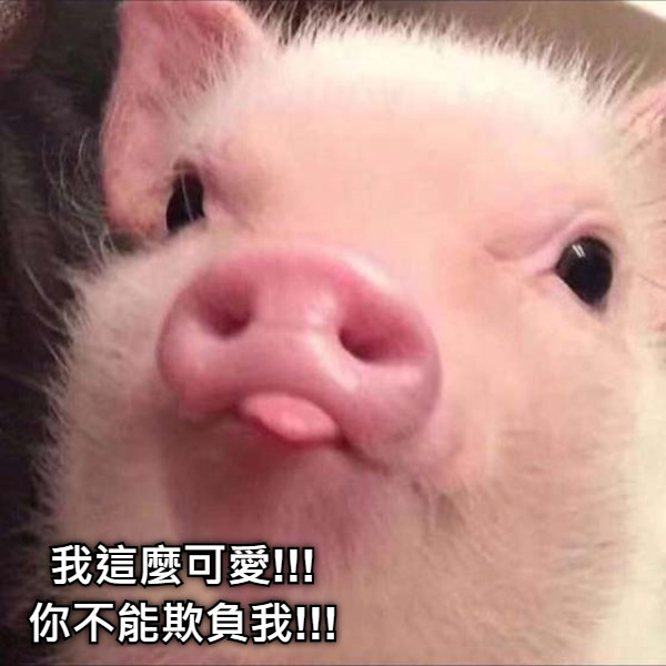 我這麼可愛!!! 你不能欺負我!!!