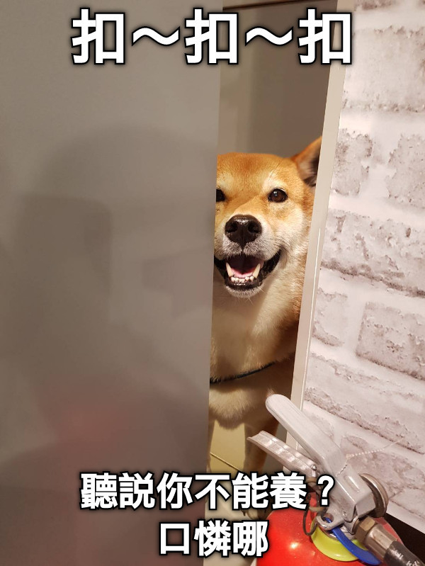 扣～扣～扣 聽說你不能養？ 口憐哪