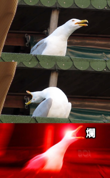 爛
