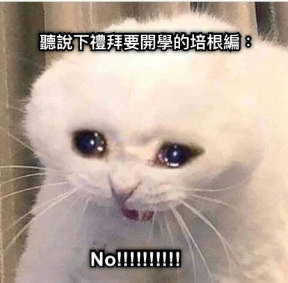 聽說下禮拜要開學的培根編： No!!!!!!!!!!