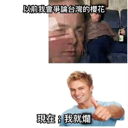 以前我會爭論台灣的櫻花 現在；我就爛