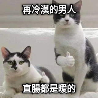 再冷漠的男人 直腸都是暖的