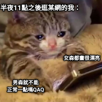 半夜11點之後逛某網的我： 女森都畫很漂亮 男森就不能 正常一點嗎QAQ