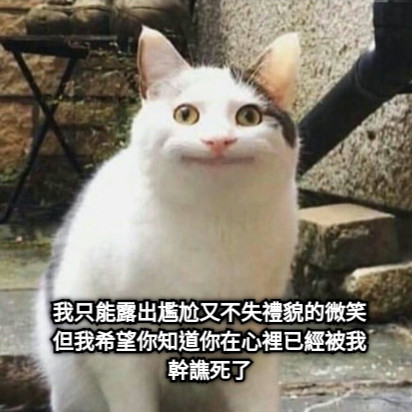 我只能露出尷尬又不失禮貌的微笑 但我希望你知道你在心裡已經被我幹譙死了