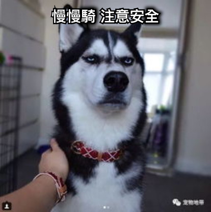 慢慢騎 注意安全