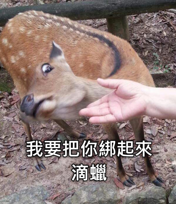 我要把你綁起來滴蠟