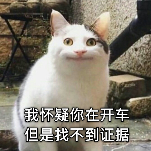 我怀疑你在开车但是找不到证据