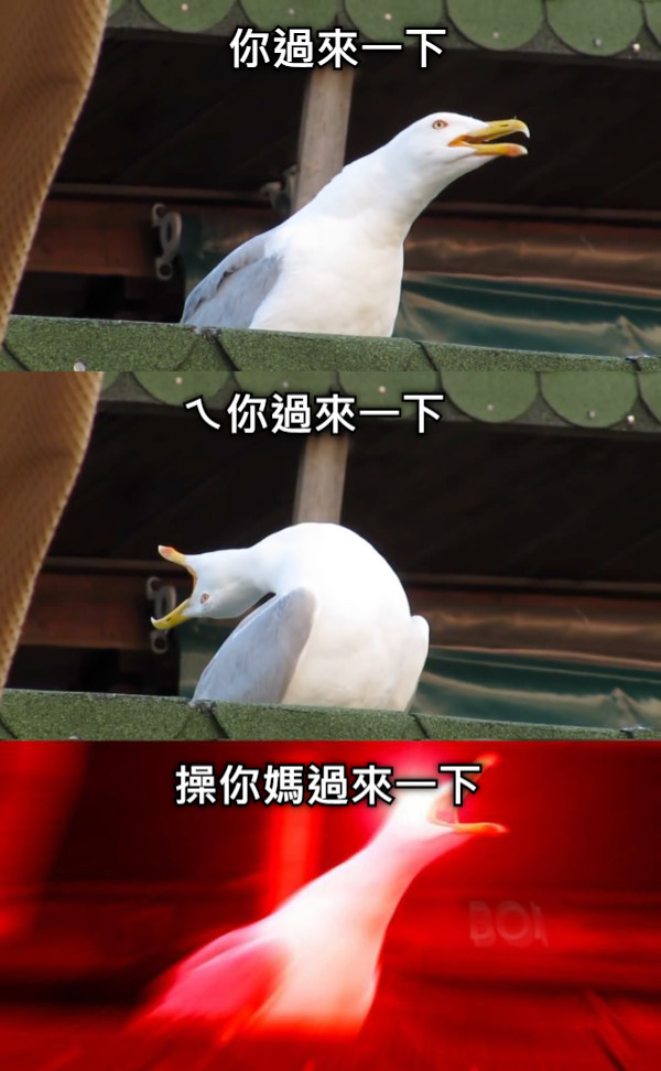 你過來一下 ㄟ你過來一下 操你媽過來一下