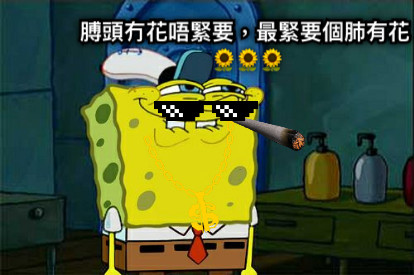 膊頭冇花唔緊要，最緊要個肺有花🌻🌻🌻