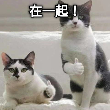 在一起！