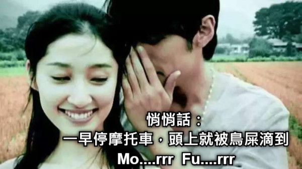 悄悄話： 一早停摩托車，頭上就被鳥屎滴到 Mo....rrr  Fu....rrr