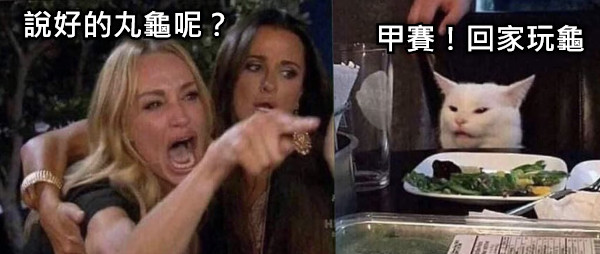 說好的丸龜呢？ 甲賽！回家玩龜