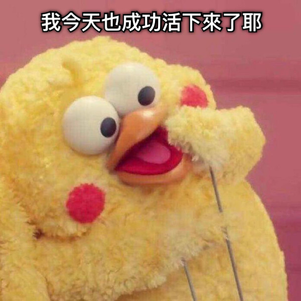 我今天也成功活下來了耶