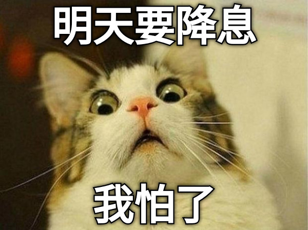 明天要降息 我怕了