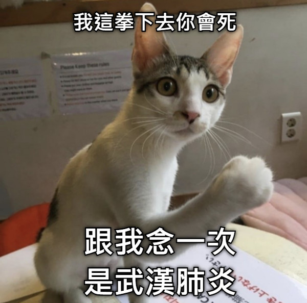 我這拳下去你會死 跟我念一次 是武漢肺炎