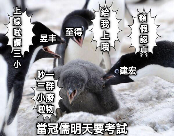 當冠儒明天要考試 建宏 昱丰 至得 上線啦讀三小 額 假認真 給我上哦 吵一三群小廢啦物