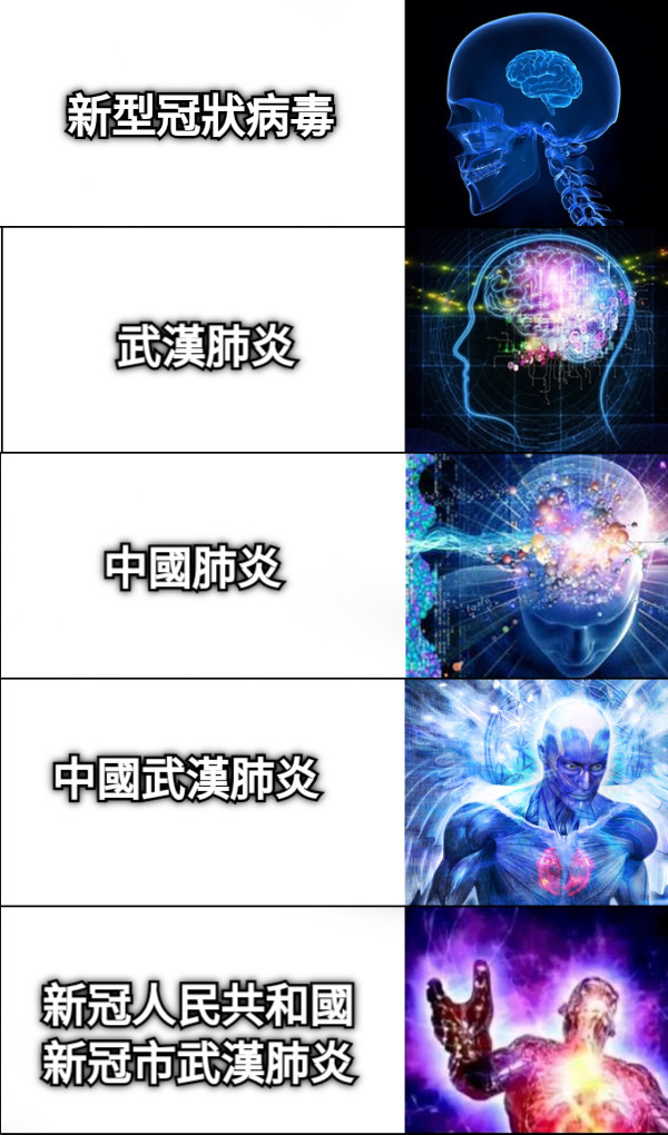 新型冠狀病毒 武漢肺炎 中國肺炎 中國武漢肺炎 新冠人民共和國新冠市武漢肺炎