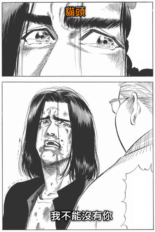 貓頭 我不能沒有你