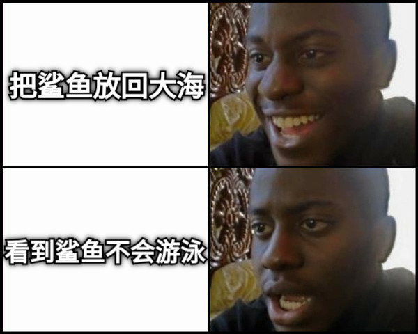 把鲨鱼放回大海 看到鲨鱼不会游泳