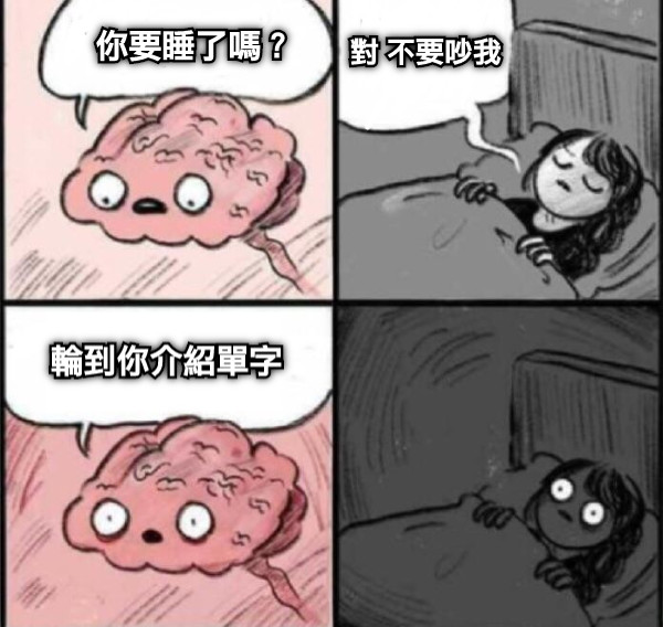 你要睡了嗎？ 對 不要吵我 輪到你介紹單字