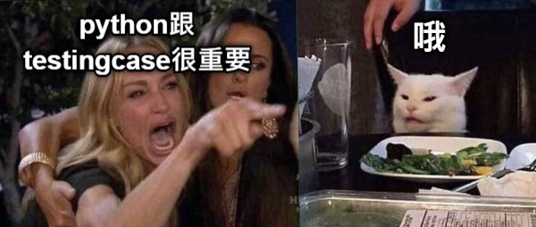 python跟 testingcase很重要 哦