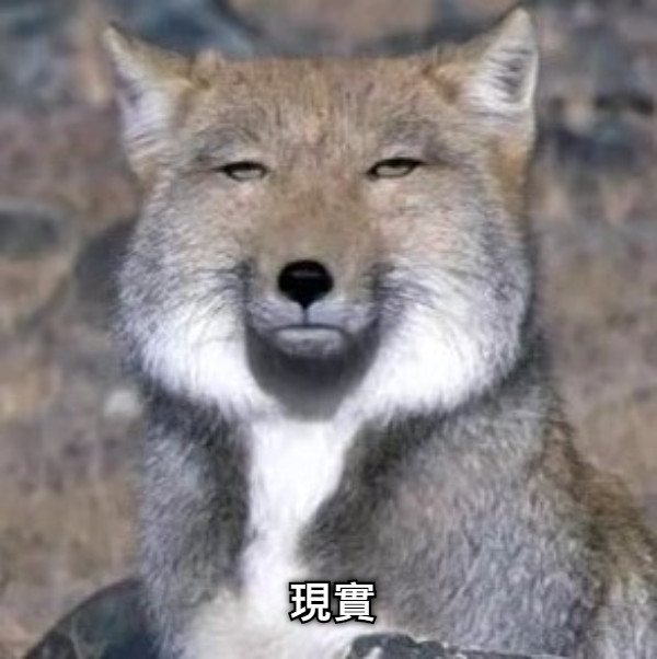 現實