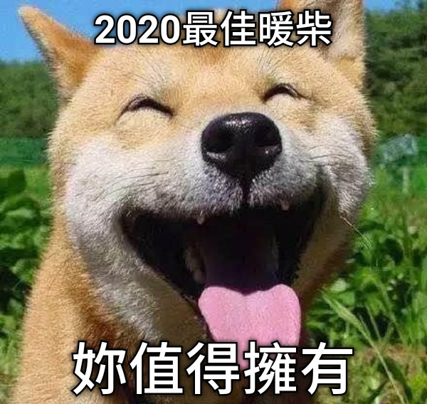 2020最佳暖柴 妳值得擁有