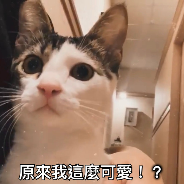 原來我這麼可愛！？