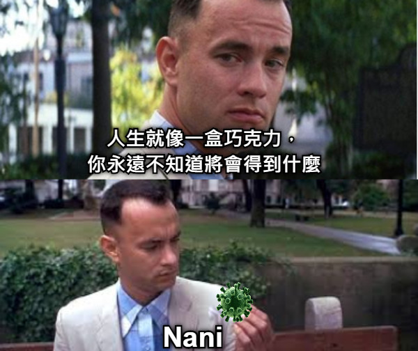 人生就像一盒巧克力， 你永遠不知道將會得到什麼 Nani