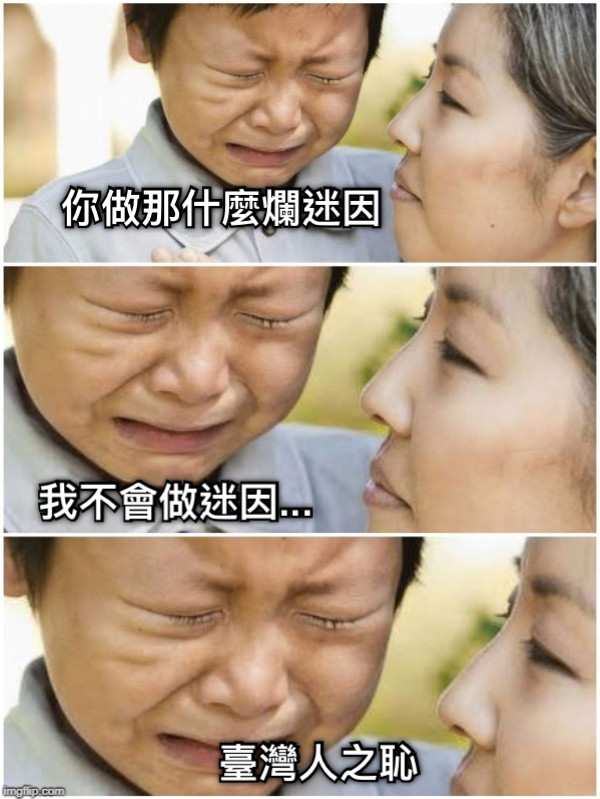 你做那什麼爛迷因 我不會做迷因... 臺灣人之恥