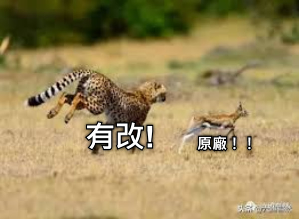 有改! 原廠！！