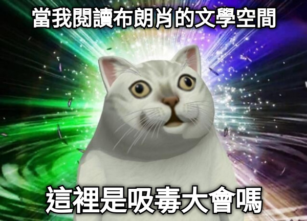 當我閱讀布朗肖的文學空間 這裡是吸毒大會嗎