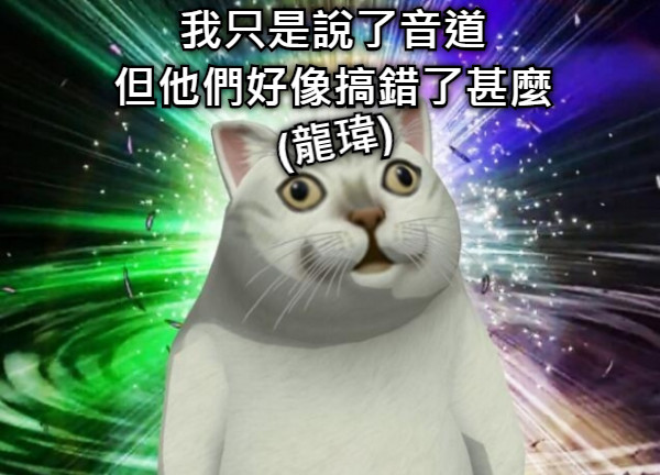 我只是說了音道 但他們好像搞錯了甚麼 (龍瑋)