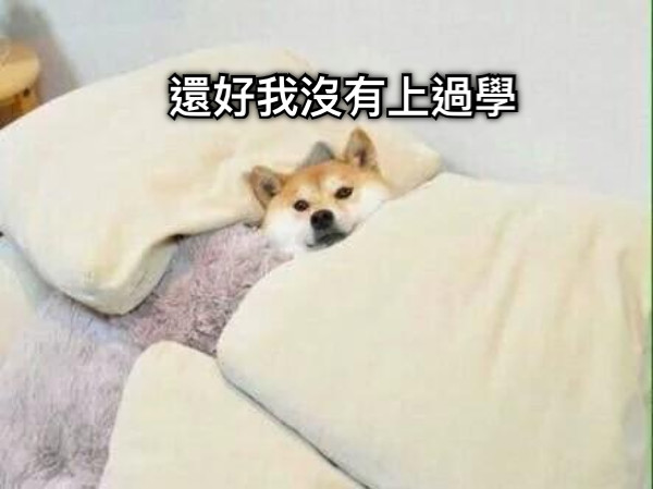 還好我沒有上過學