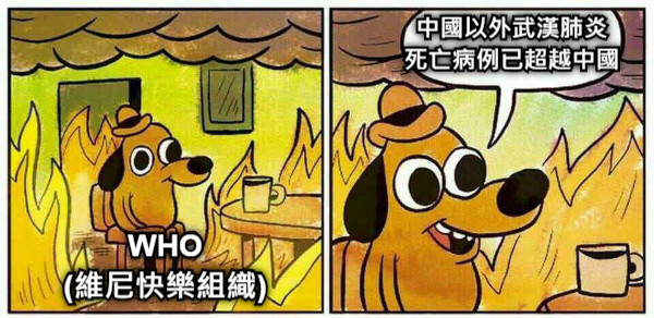 中國以外武漢肺炎 死亡病例已超越中國 WHO (維尼快樂組織)