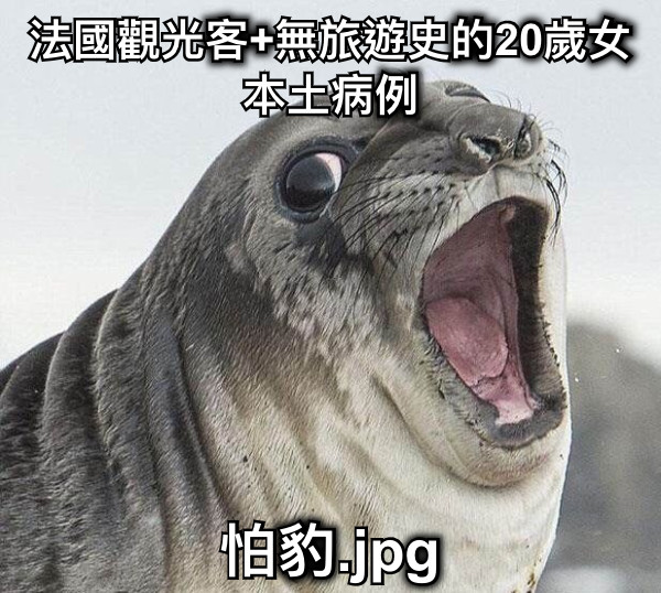 法國觀光客+無旅遊史的20歲女本土病例 怕豹.jpg