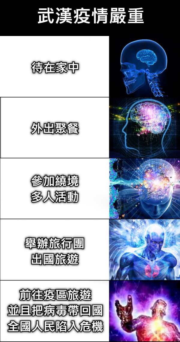 待在家中 外出聚餐 參加繞境 多人活動 舉辦旅行團 出國旅遊 前往疫區旅遊 並且把病毒帶回國 全國人民陷入危機 武漢疫情嚴重