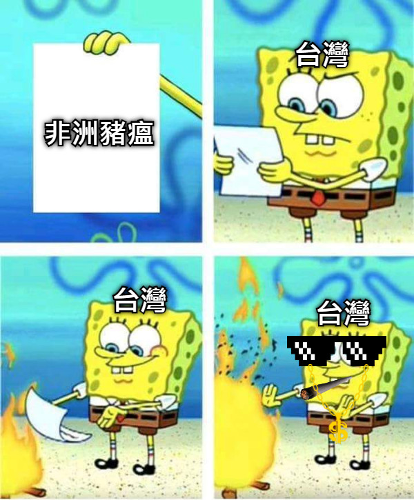 非洲豬瘟 台灣 台灣 台灣