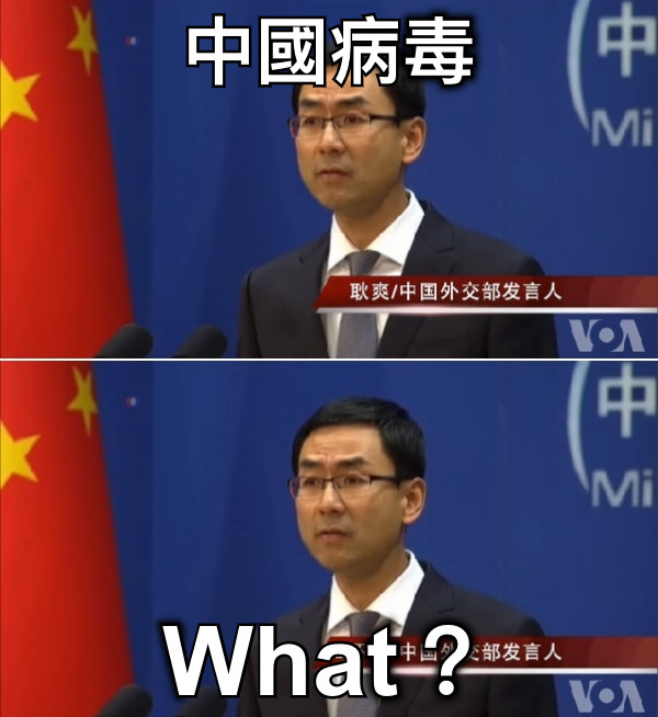 中國病毒 What？