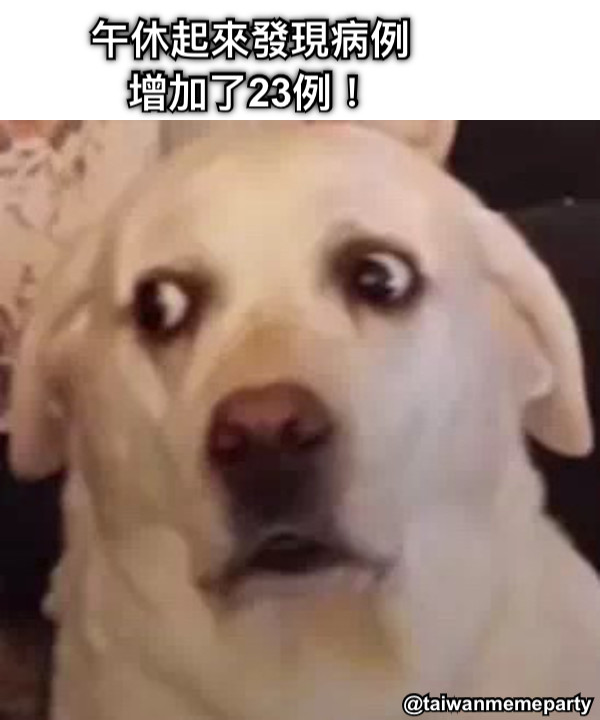 午休起來發現病例增加了23例！