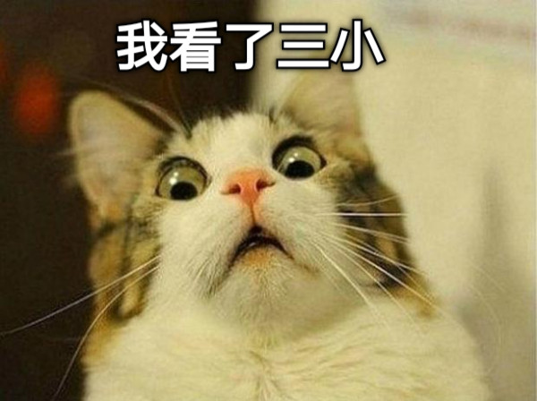 我看了三小