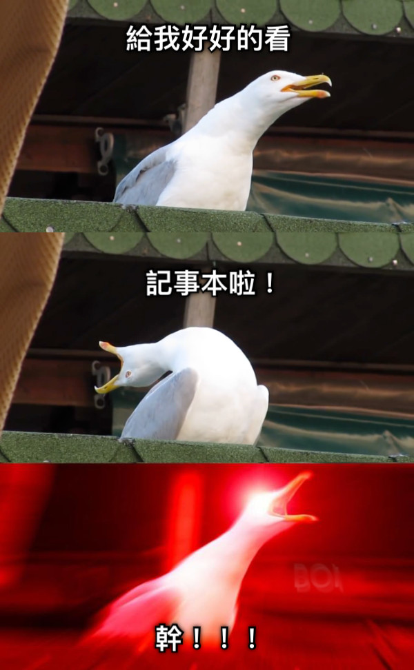 給我好好的看 記事本啦！ 幹！！！