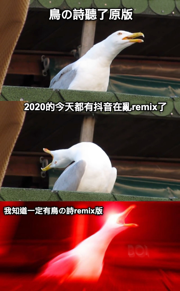 鳥の詩聽了原版 2020的今天都有抖音在亂remix了 我知道一定有鳥の詩remix版