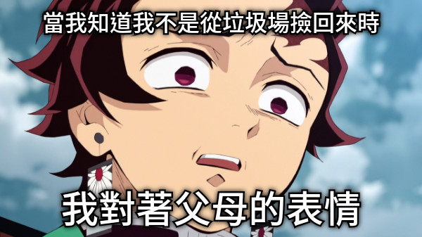 當我知道我不是從垃圾場撿回來時 我對著父母的表情