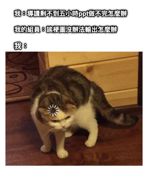 我：導讀剩不到五小時ppt做不完怎麼辦 我的組員：誒梗圖沒辦法輸出怎麼辦 我：