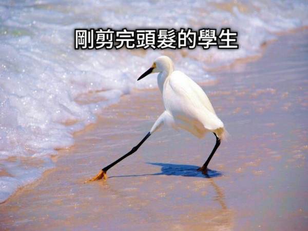 剛剪完頭髮的學生