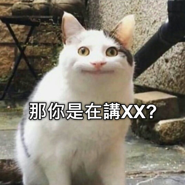 那你是在講XX?