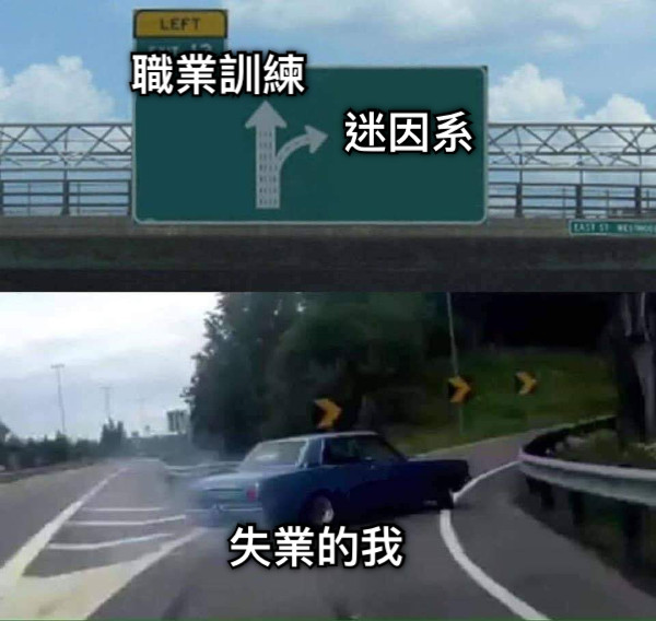 職業訓練 迷因系 失業的我